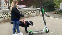 A képen Lengyel Zsófia Mokka vakvezető kutyusával és fehérbotjával rollert 